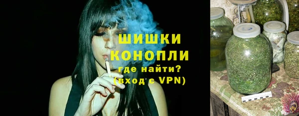 гидра Новодвинск