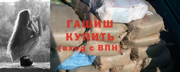 гидра Новодвинск