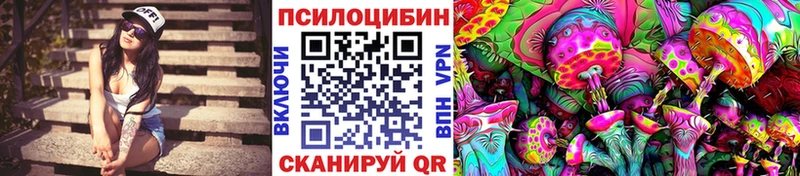 mega tor  где купить наркотик  Энем  Псилоцибиновые грибы прущие грибы 